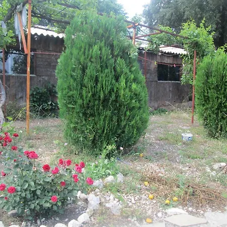 Olympos Dagevi Çıralı