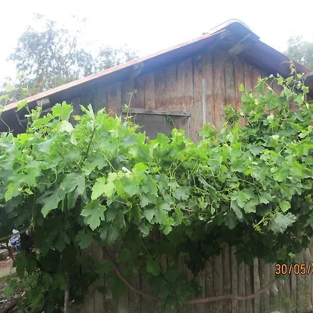 Olympos Dagevi Tatil Evi Çıralı