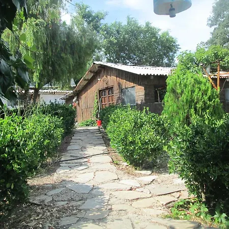 Olympos Dagevi Tatil Evi